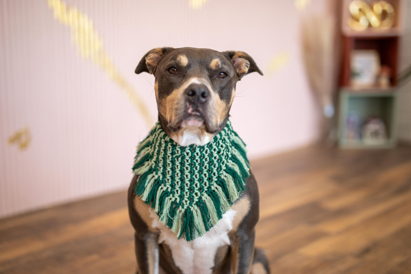 Macrame bandana