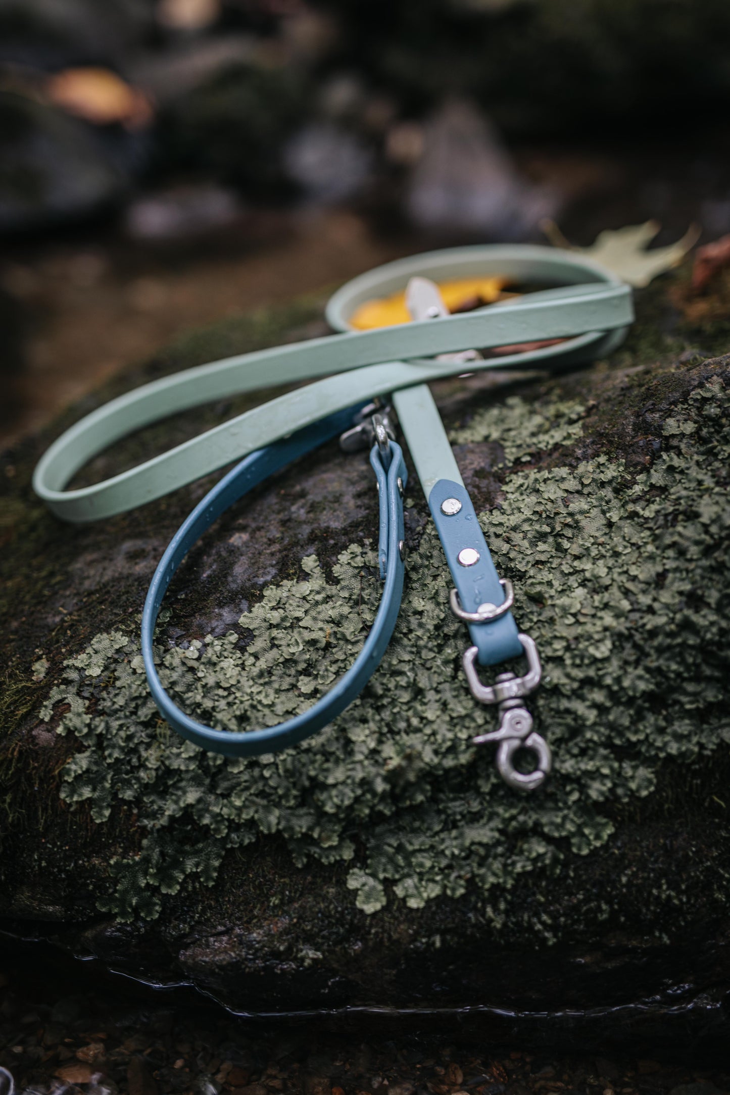 World Explorer (Hands-free) Biothane® Leash