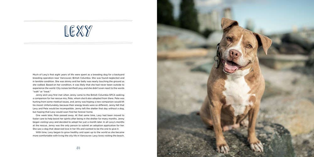 Greg Murray - Pit Bull Heroes: 49 Underdogs with Resilience & Heart