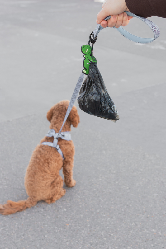 Woof & Wonder - Dinosaur Used Dog Waste Bag Holder