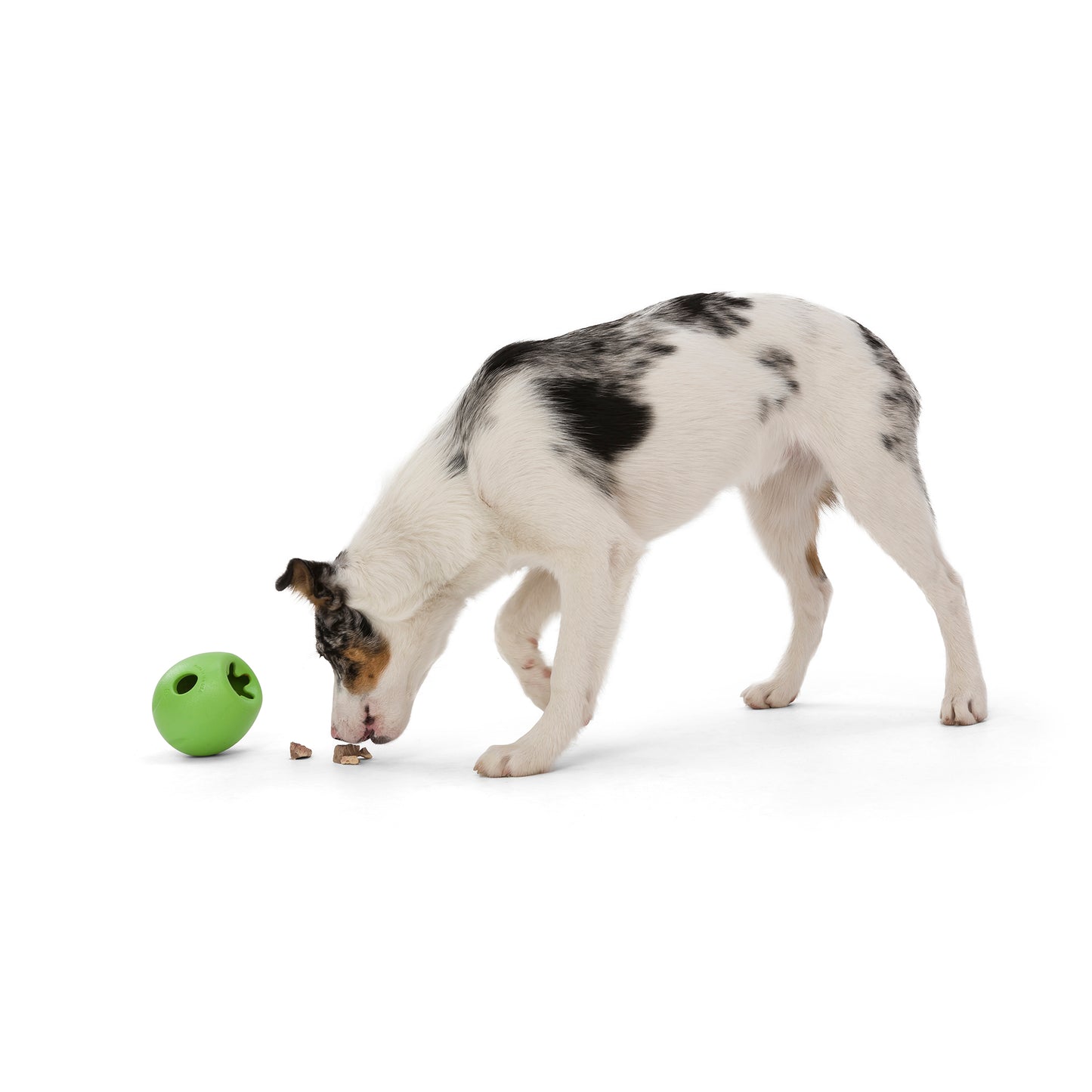 West Paw Rumbl® Treat Toy