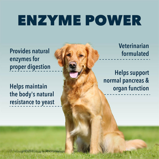 Four Leaf Rover Digest - Digestive Enzymes And Probiotics For Dogs