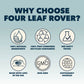 Four Leaf Rover Seven 'Shrooms - Organic Mushroom Mix