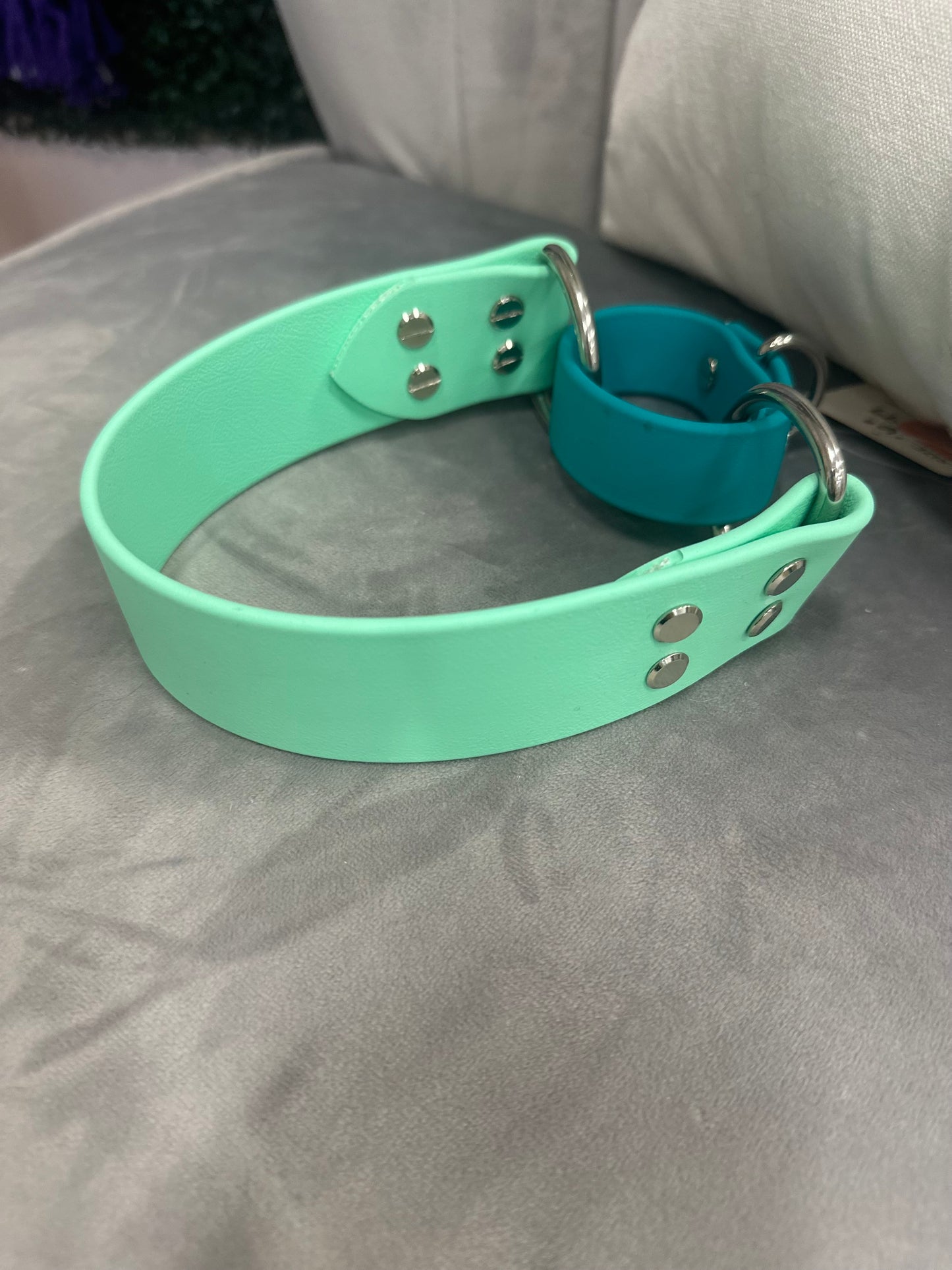 Pre-Made Biothane® Collars - Martingale