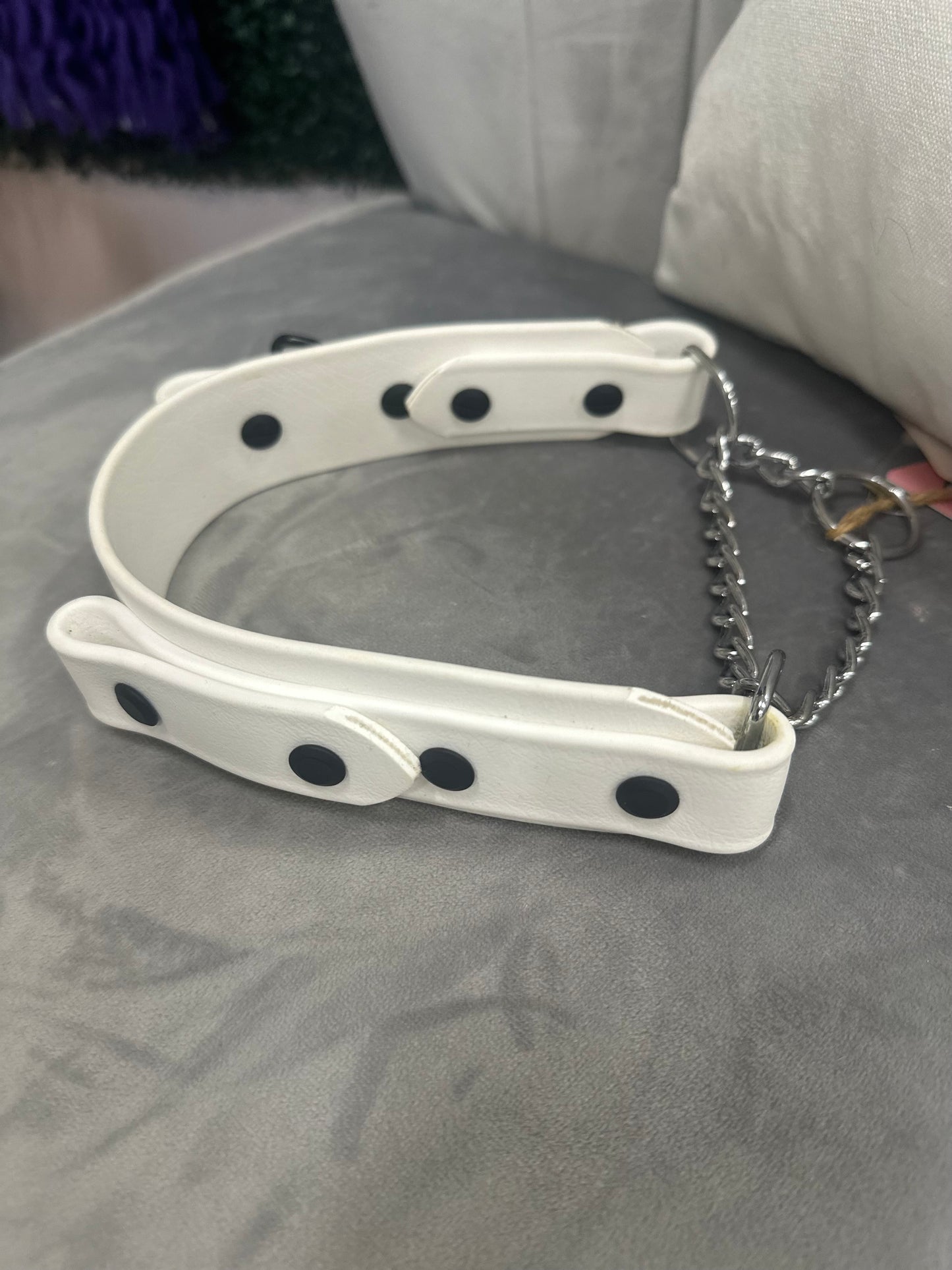 Pre-Made Biothane® Collars - Martingale