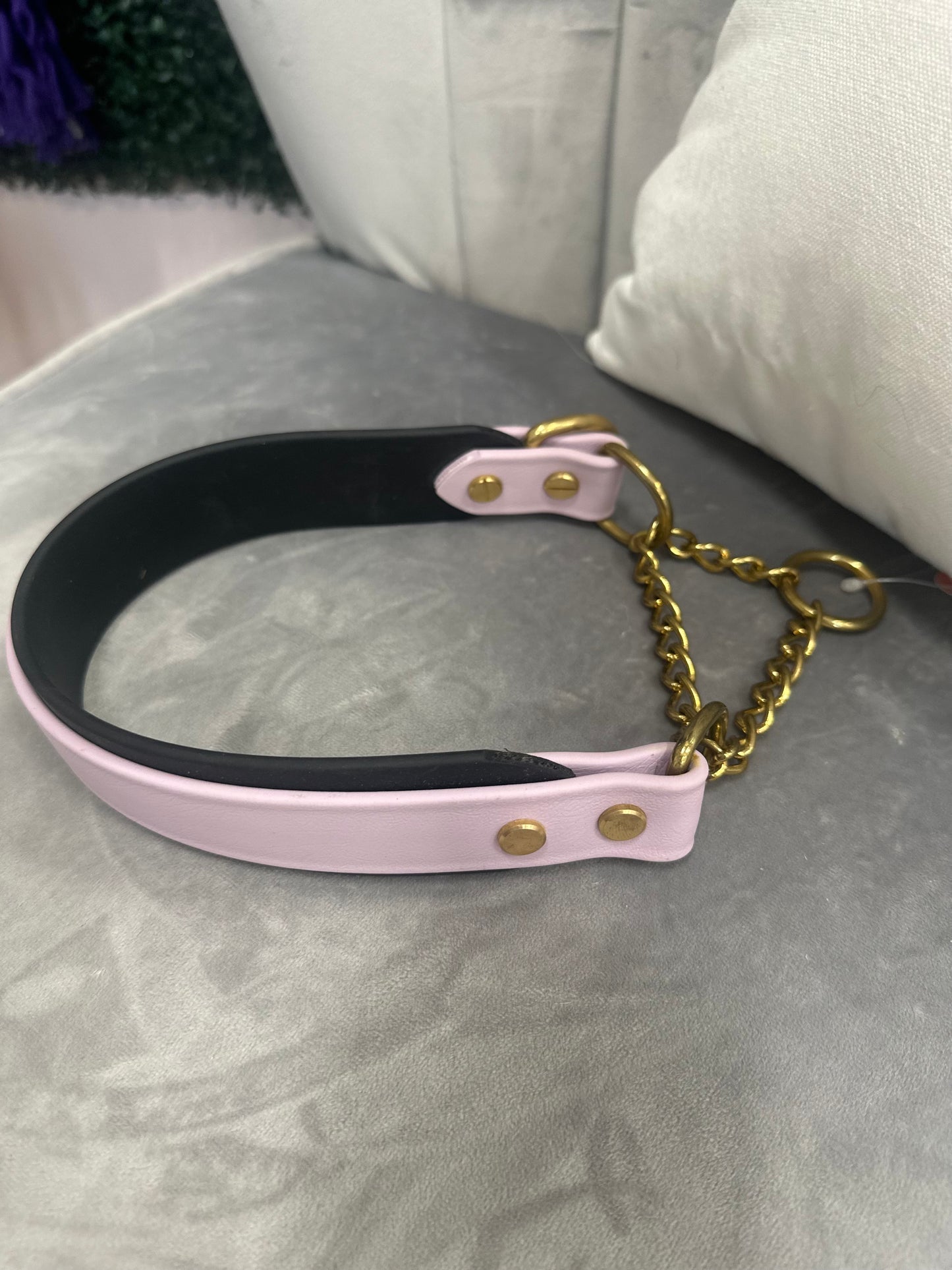 Pre-Made Biothane® Collars - Martingale