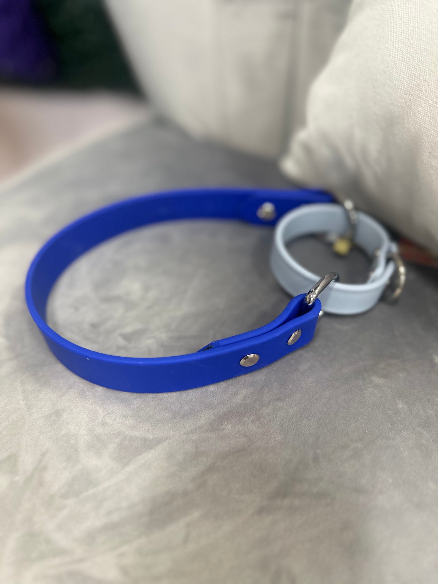 Pre-Made Biothane® Collars - Martingale