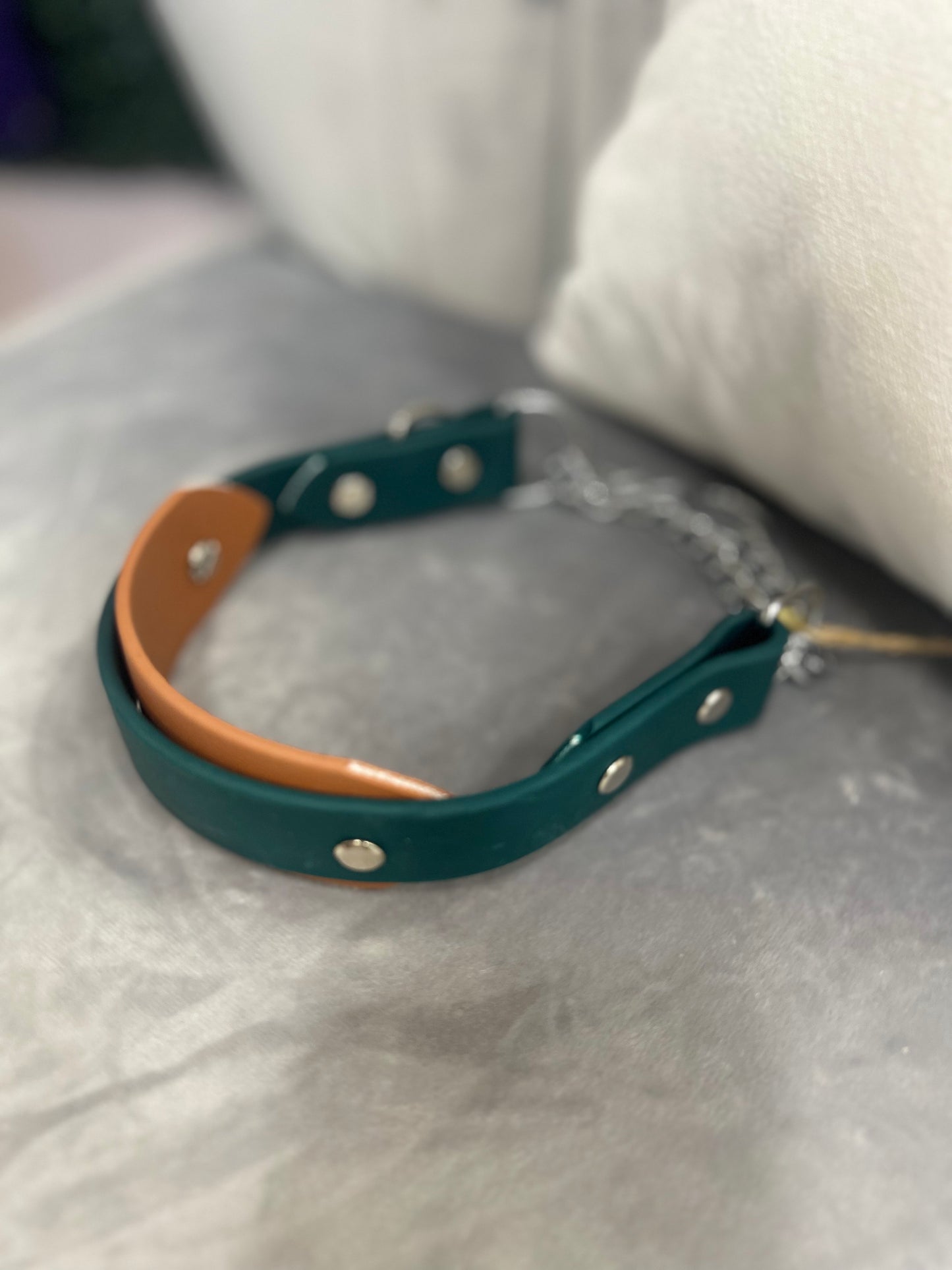 Pre-Made Biothane® Collars - Martingale