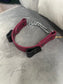 Pre-Made Biothane® Collars - Martingale