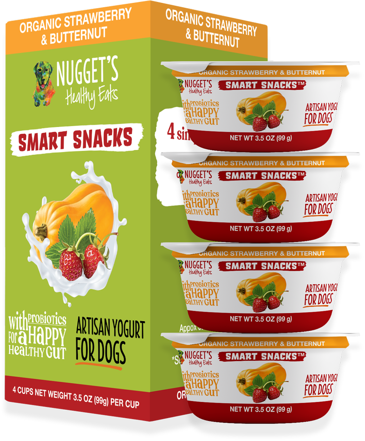 Nugget's Healthy Eats Artisan Dog Yogurt