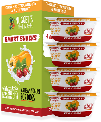 Nugget's Healthy Eats Artisan Dog Yogurt