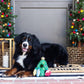 PetShop by Fringe Studio Ready Set Glow Hide & Seek Dog Toy