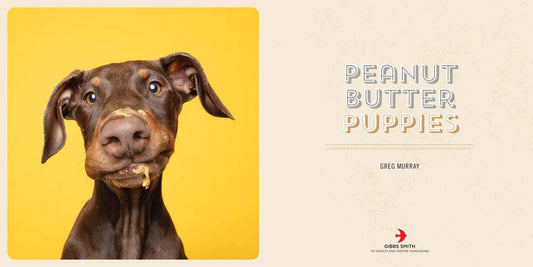 Greg Murray - Peanut Butter Puppies