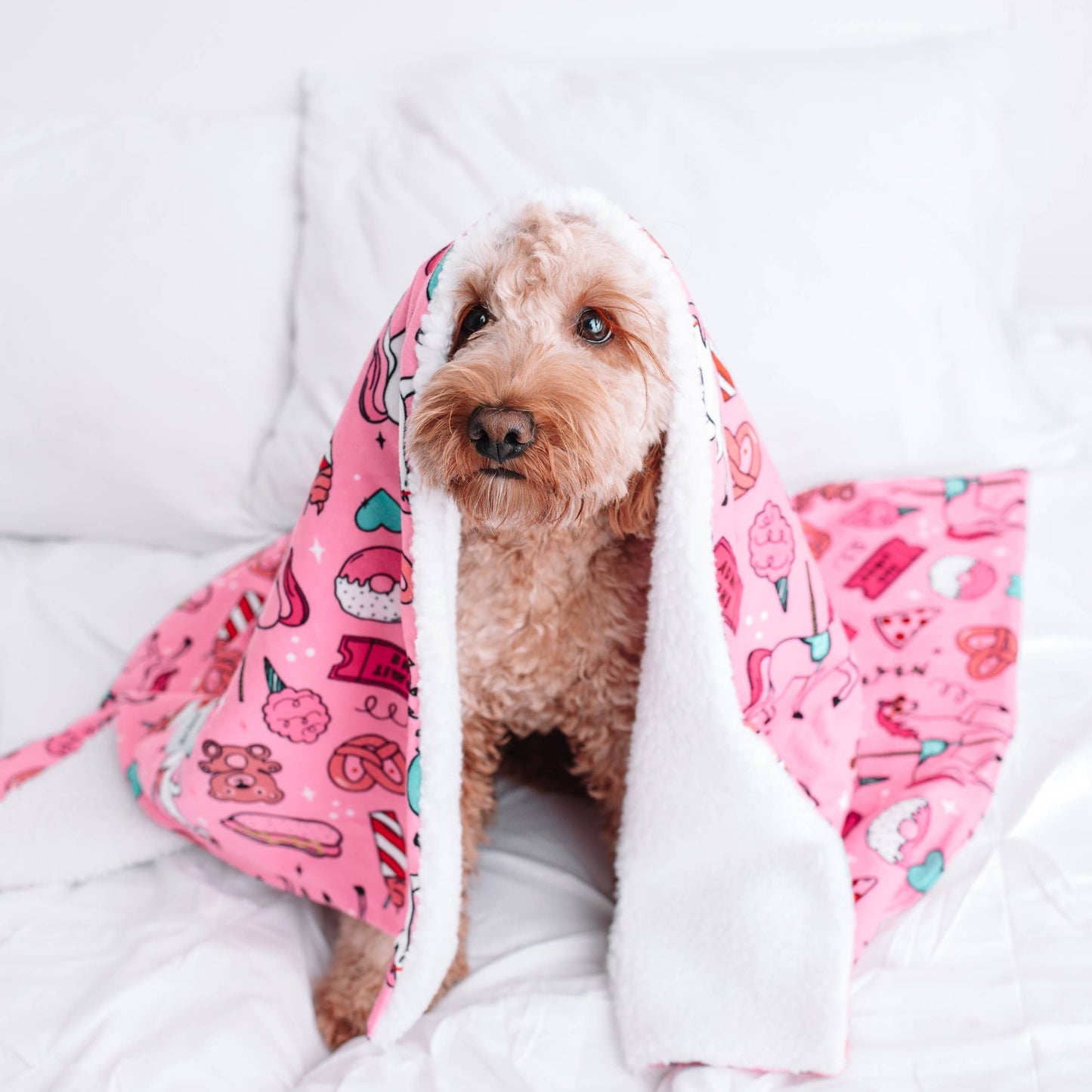 Pink Carnival Dog Blanket with Warm Sherpa Fabric