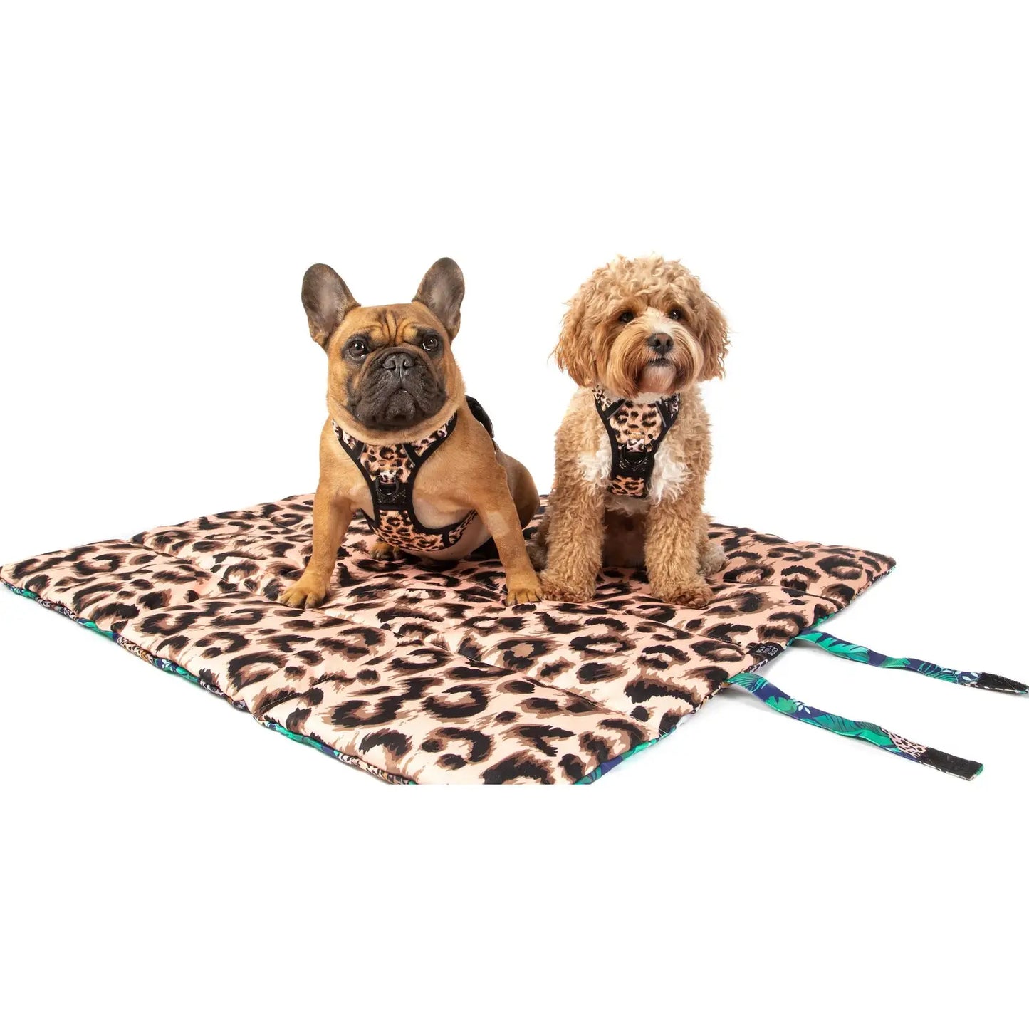 "Big and Little Dogs" ON-THE-GO PET MAT: Luxurious Leopard