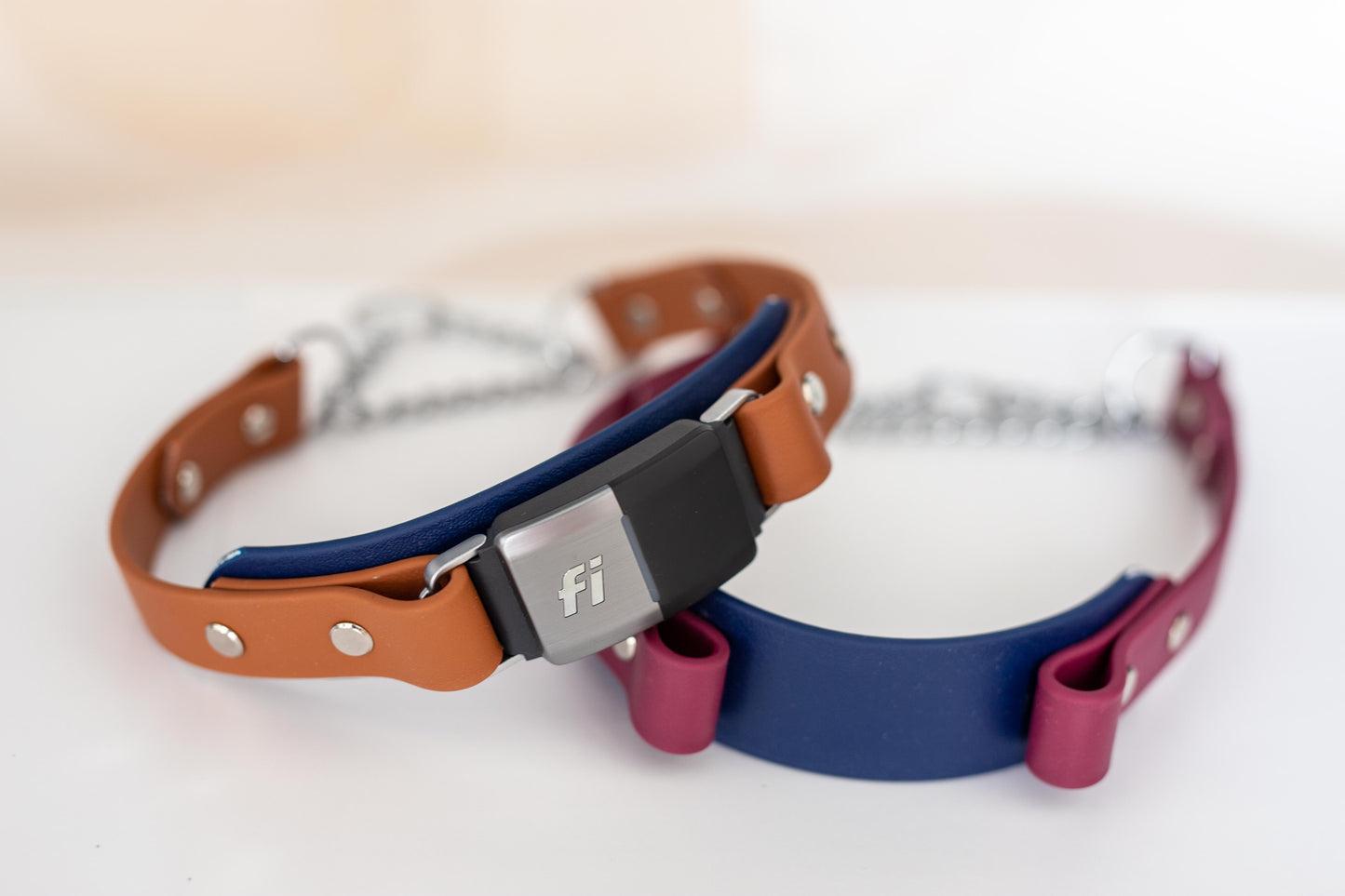 Martingale Biothane® Fi compatible collar